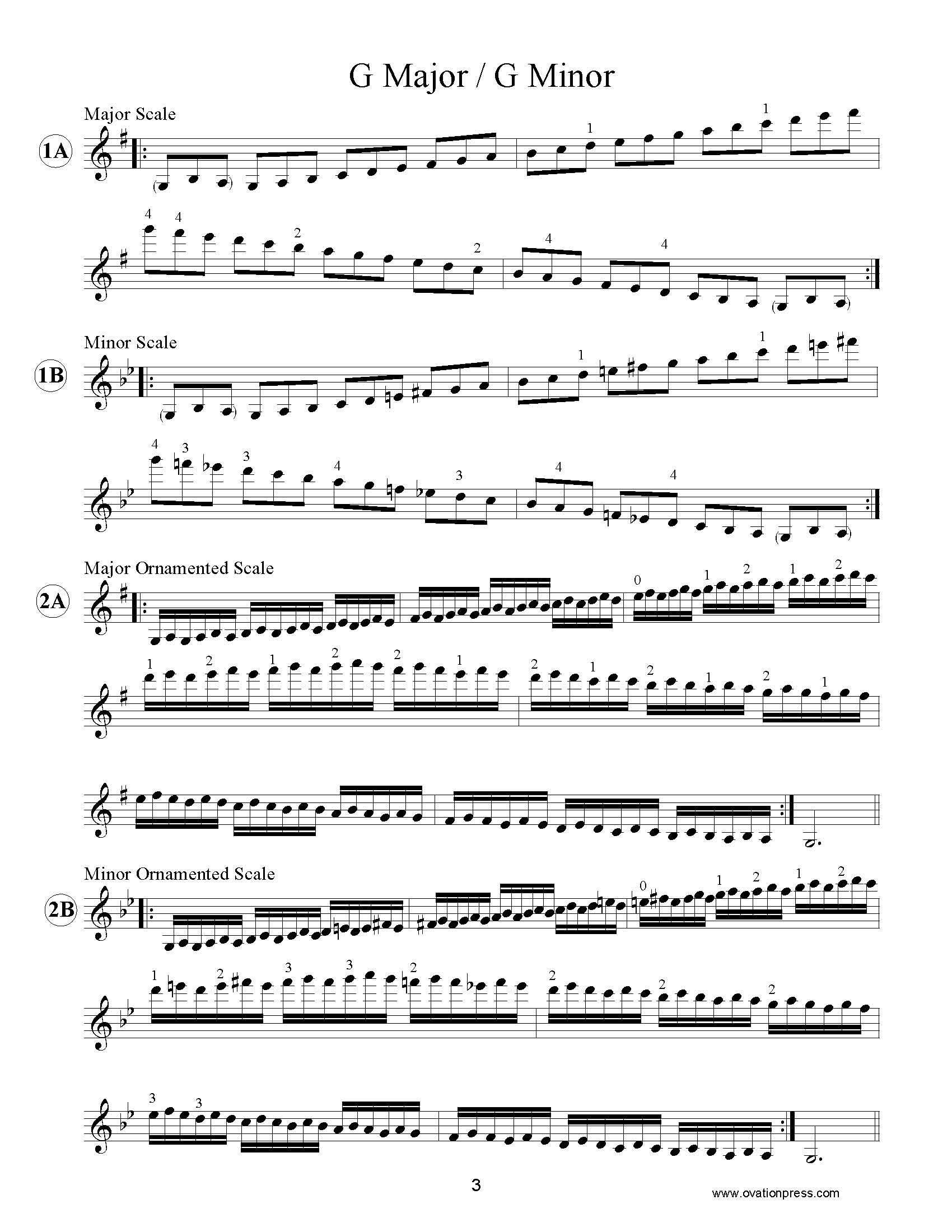 fællesskab procent Taknemmelig Scale System for Reluctant Scale Enthusiasts (for Violin)