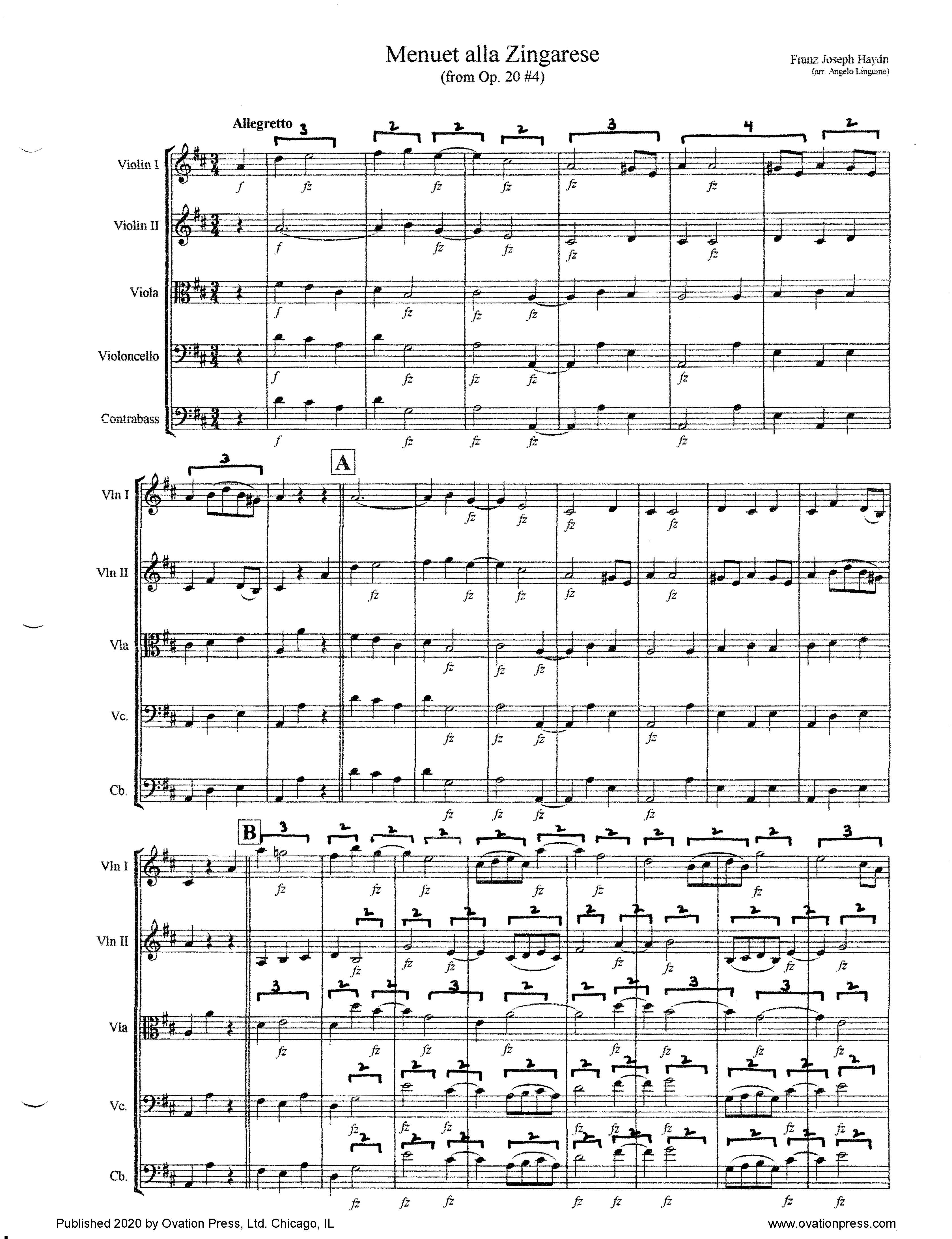 Hadyn Menuet alla Zingarse (for Intermediate String Orchestra)