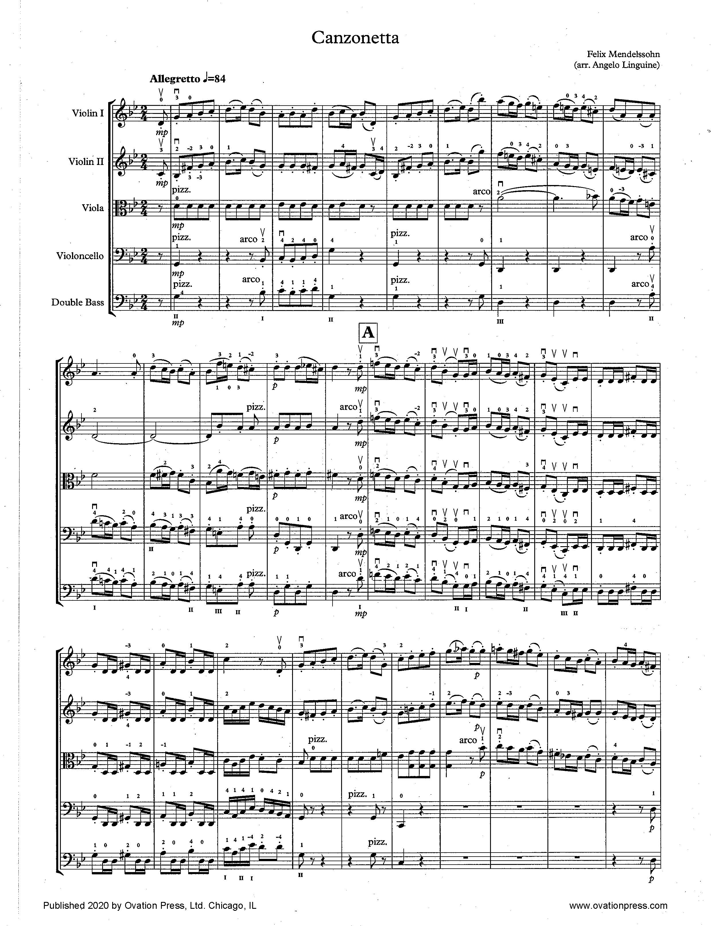 Mendelssohn Canzonetta (for Intermediate String Orchestra)