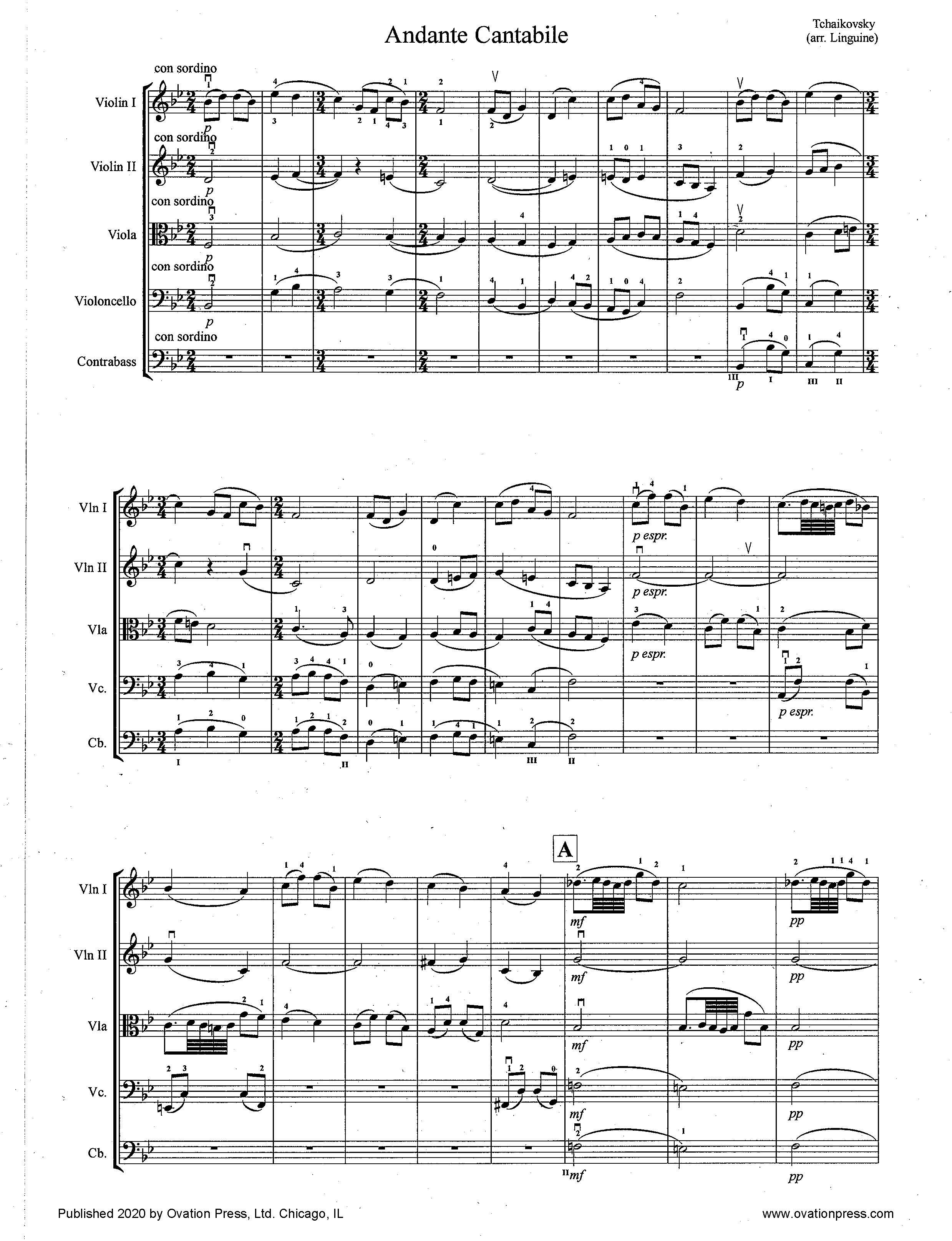 Tchaikovsky Andante Cantabile (for Intermediate String Orchestra)